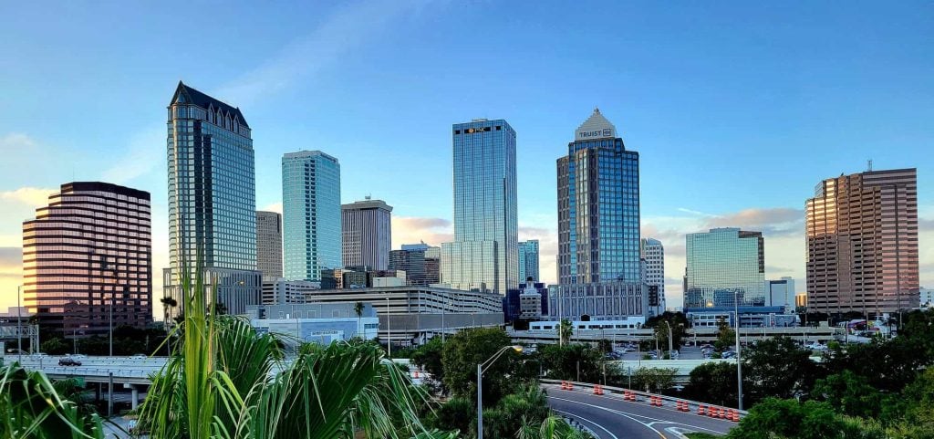 Tampa Skyline with Palm Trees in the Foreground